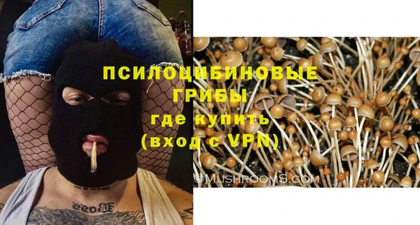 трава Вязники