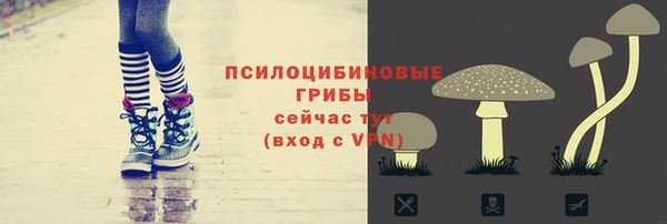 дмт Вяземский