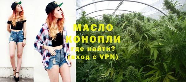 дмт Вяземский