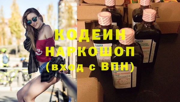 дмт Вяземский