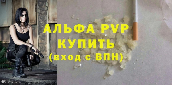 дмт Вяземский