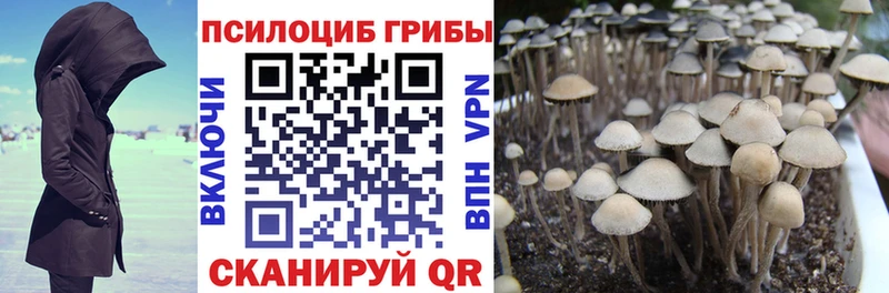 купить закладку Зеленодольск Галлюциногенные грибы прущие грибы
